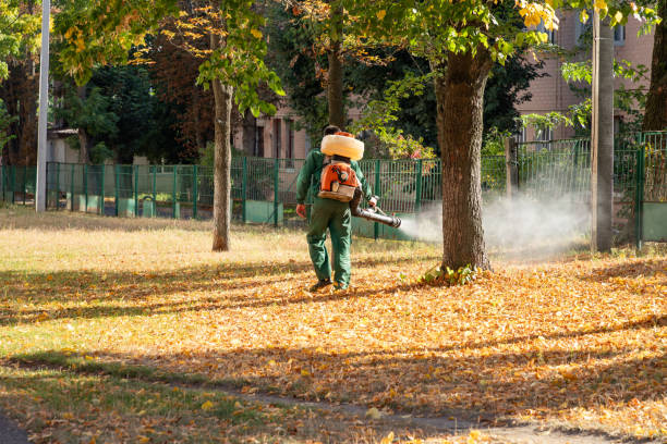 Professional Pest Control in Jersey City, NJ